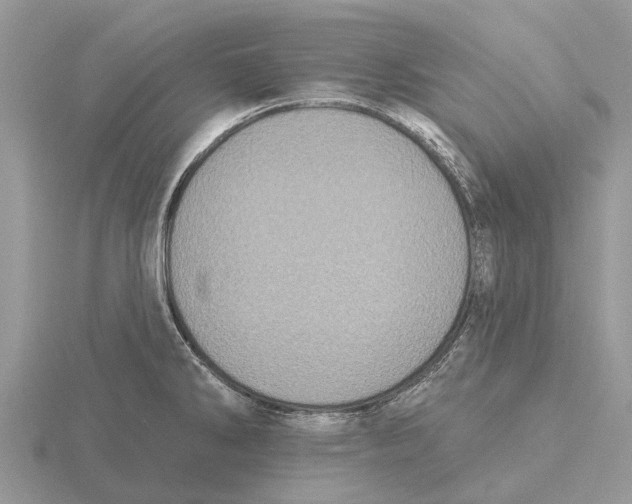 X0000115671286200912101104