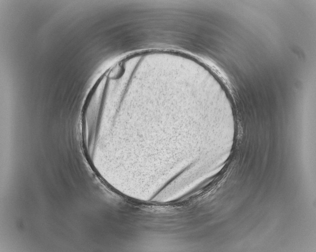 X0000115671287200912101104