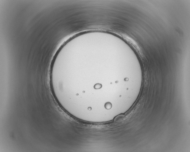 X0000115671288200912101104