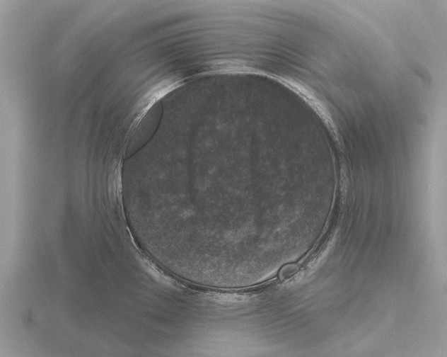 X0000115671289200912101104