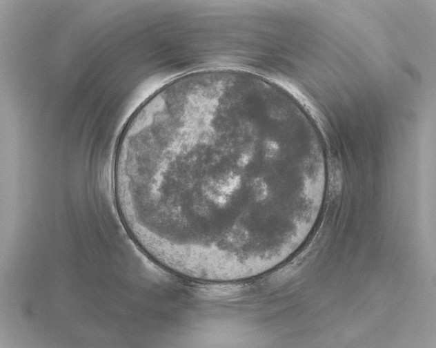 X0000115671294200912101104