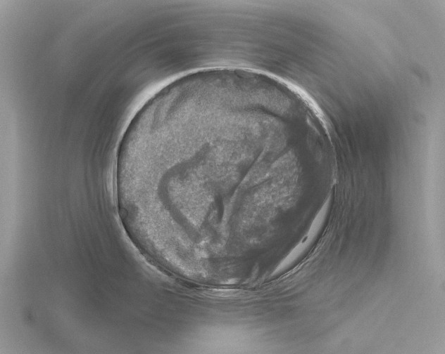 X0000115671295200912101104