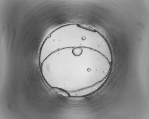 X0000115671296200912101104