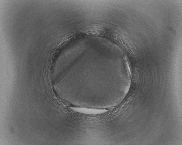 X0000115671297200912101103