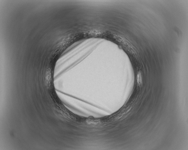 X0000115671299200912101103