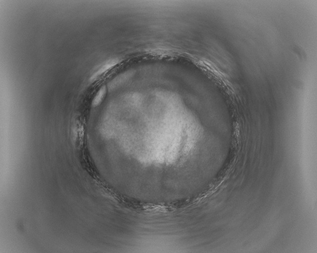 X0000115671302200912101104