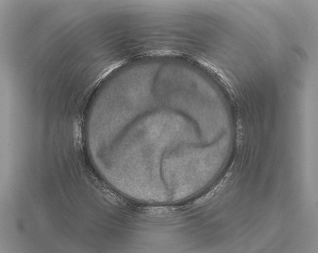 X0000115671305200912101104