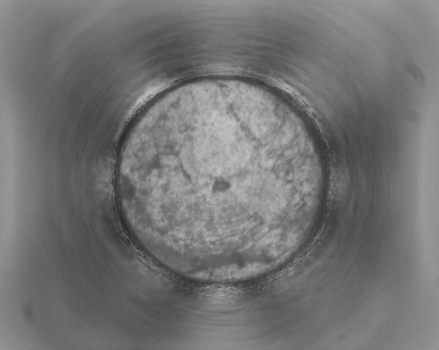 X0000115671314200912101104