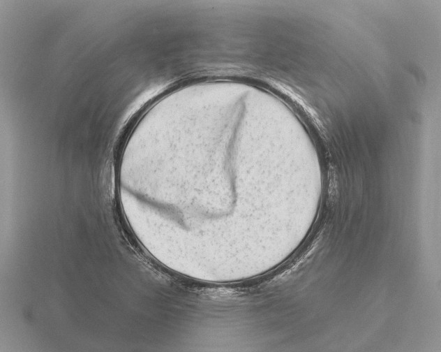 X0000115671317200912101104