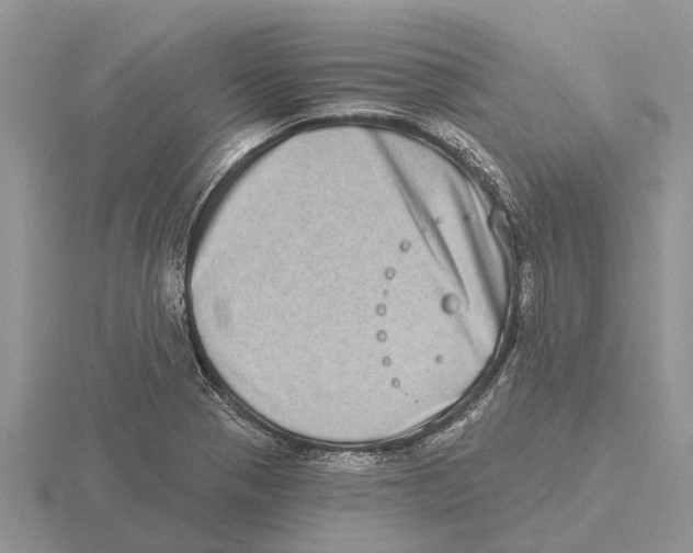 X0000115671321200912101104