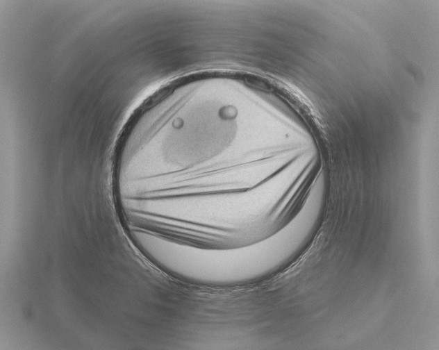 X0000115671326200912101104