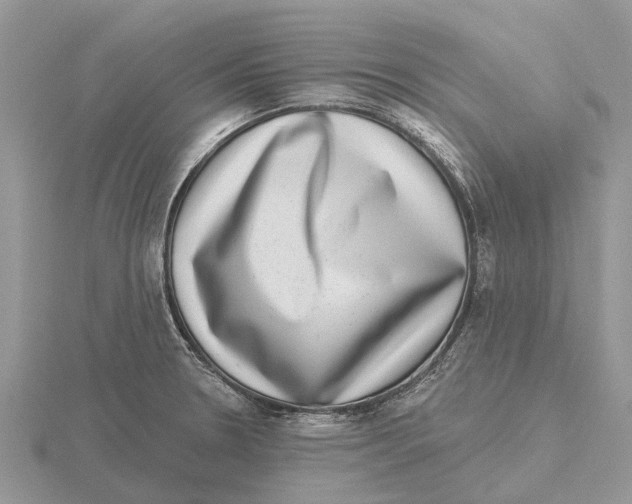 X0000115671330200912101104