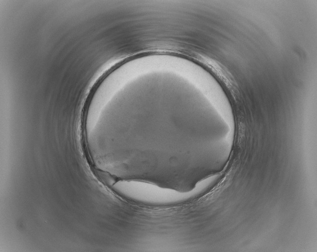 X0000115671331200912101104