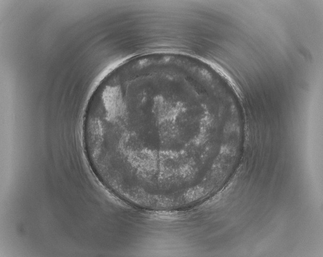 X0000115671333200912101104