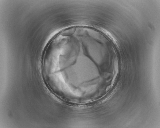 X0000115671334200912101104