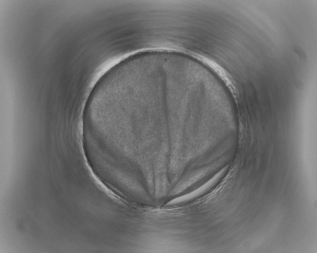 X0000115671335200912101104