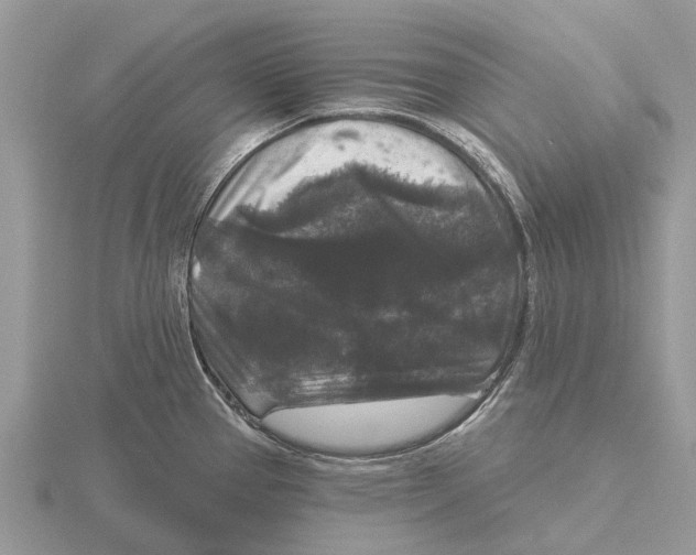 X0000115671337200912101104