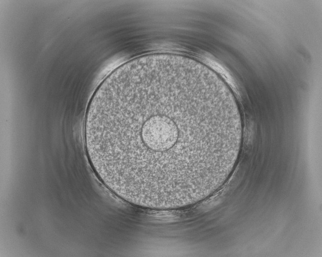 X0000115671338200912101104