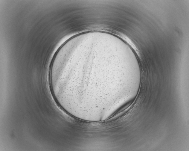 X0000115671339200912101104