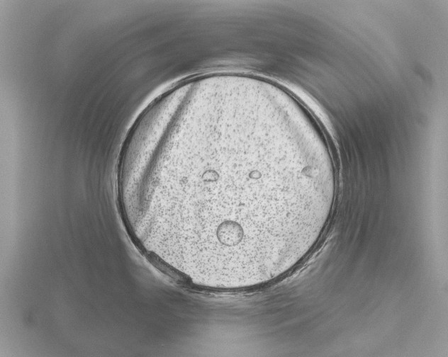 X0000115671341200912101104