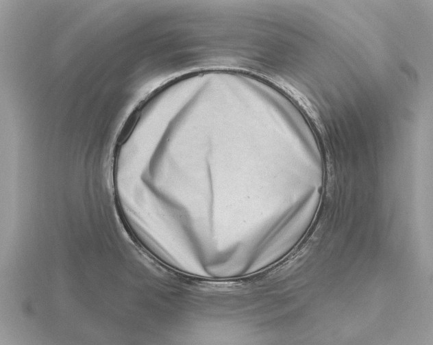 X0000115671342200912101104