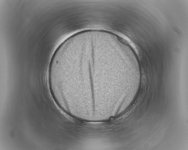 X0000115671343200912101104