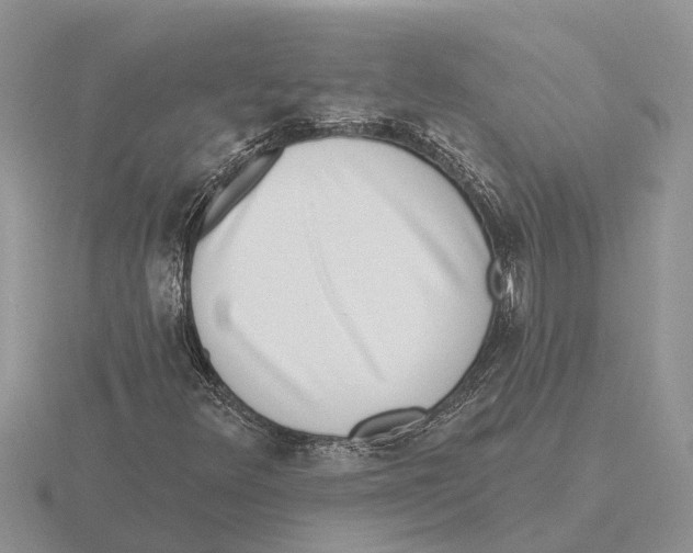 X0000115671348200912101103