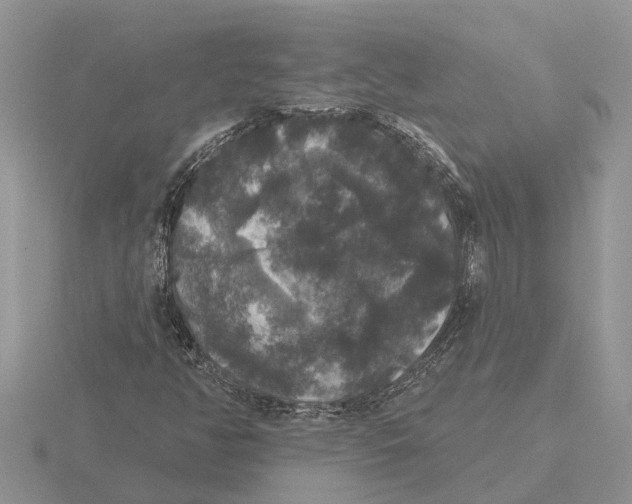 X0000115671350200912101103