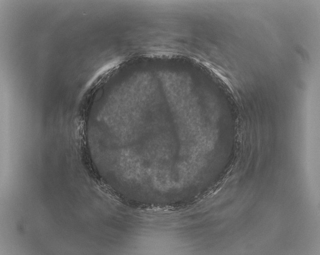 X0000115671351200912101103