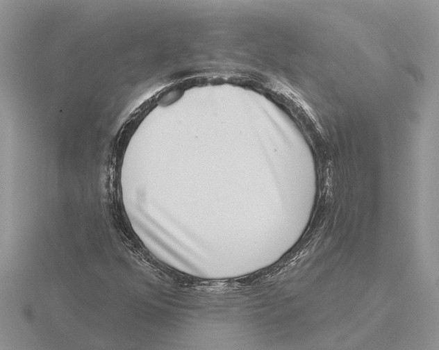 X0000115671352200912101103