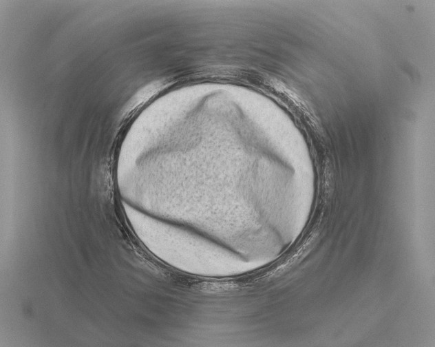 X0000115671354200912101103