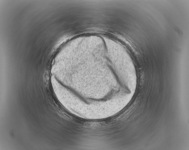 X0000115671355200912101103