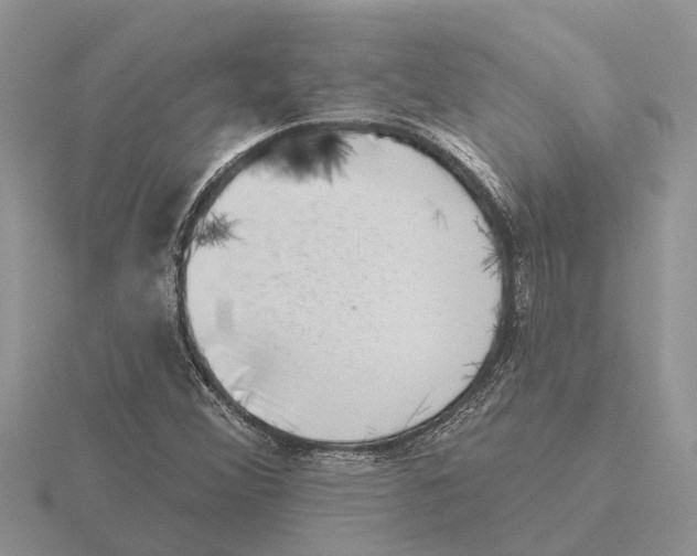 X0000115671356200912101103