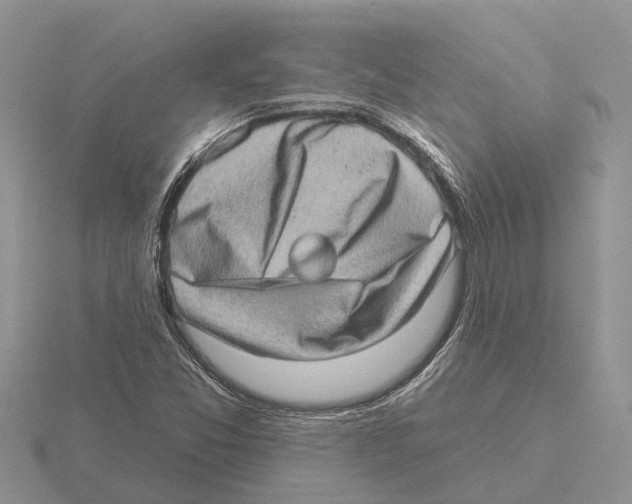 X0000115671357200912101103