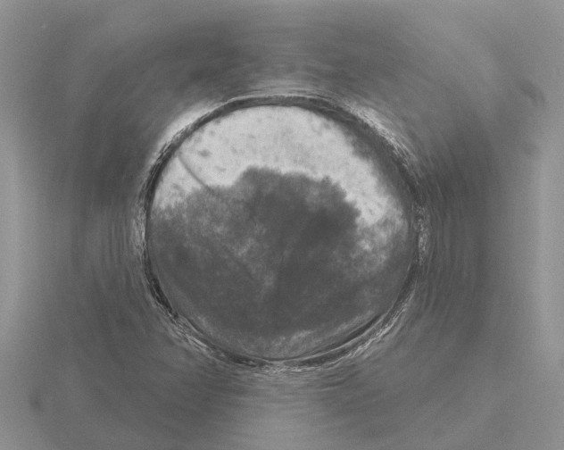 X0000115671358200912101103