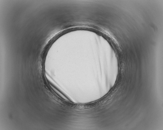 X0000115671360200912101103