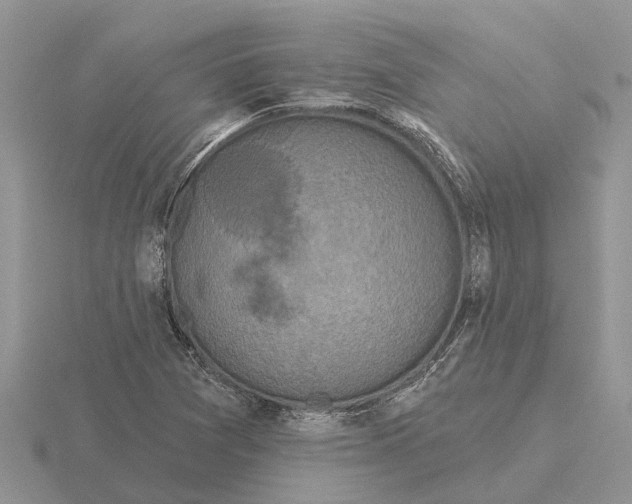 X0000115671361200912101103