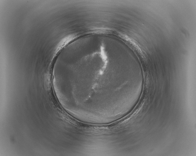 X0000115671362200912101103