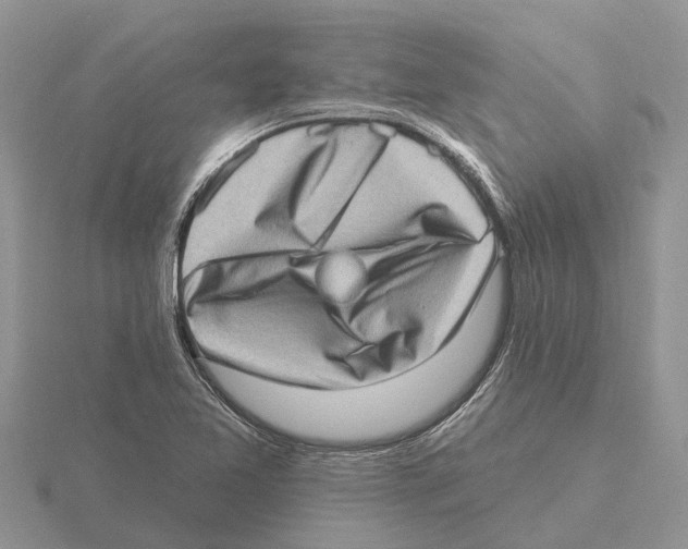 X0000115671365200912101103