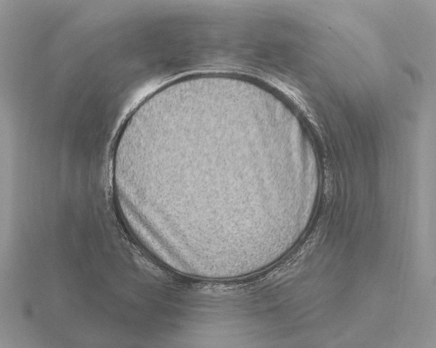 X0000115671366200912101103