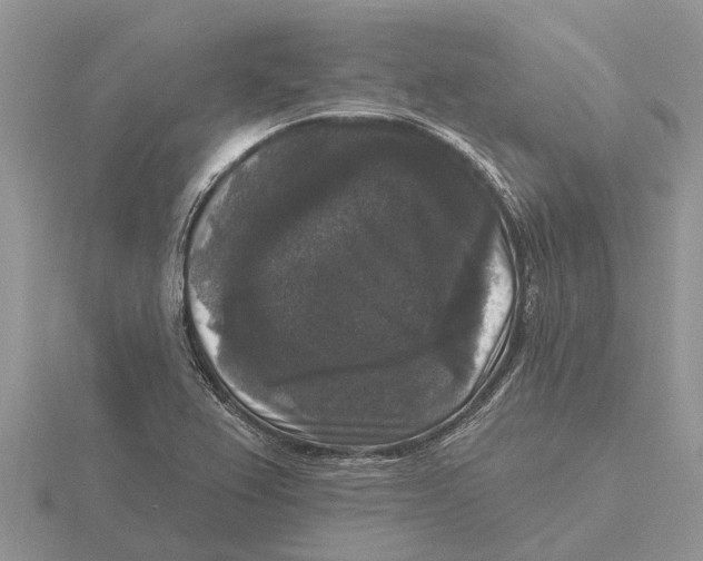 X0000115671367200912101103