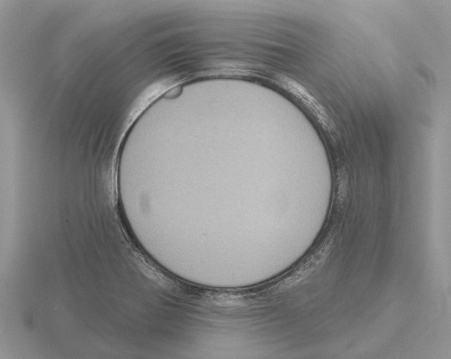 X0000115671370200912101103