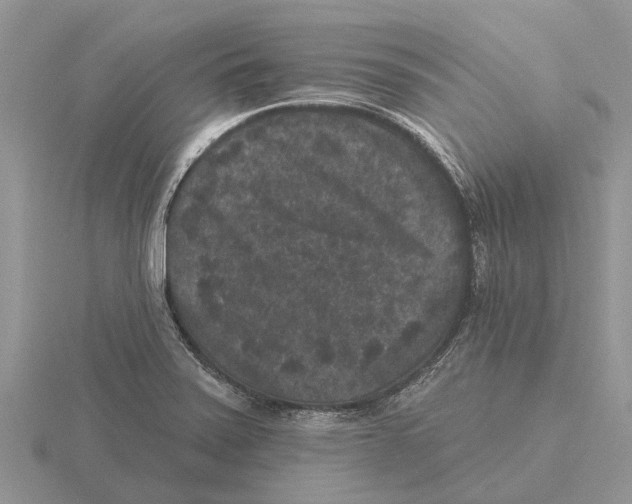 X0000115671371200912101103