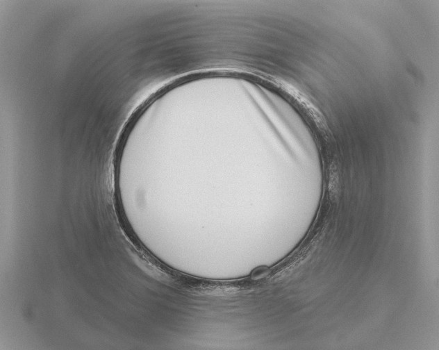 X0000115671372200912101103