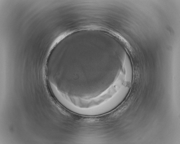 X0000115671373200912101103