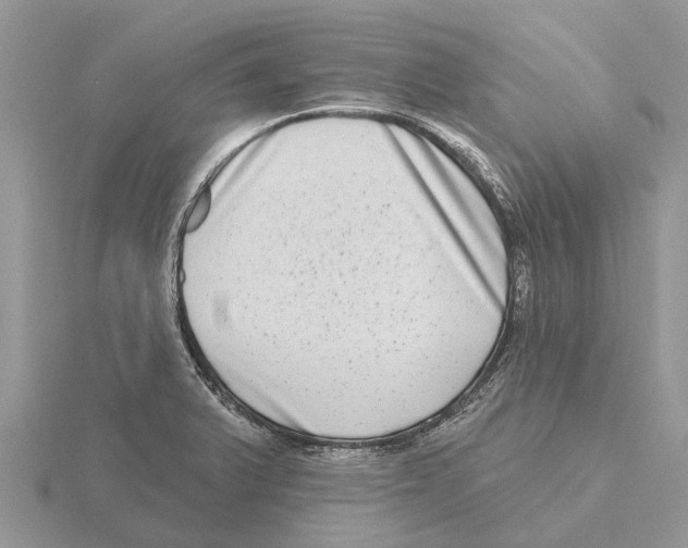 X0000115671375200912101103