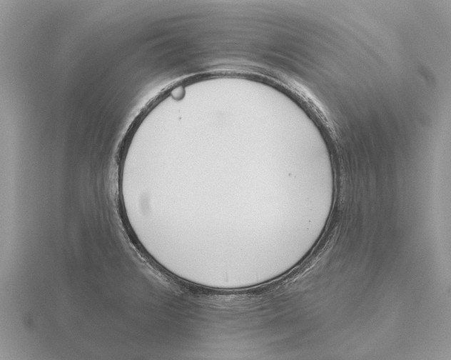 X0000115671376200912101103