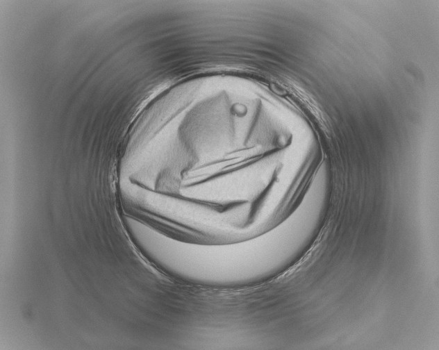 X0000115671377200912101103