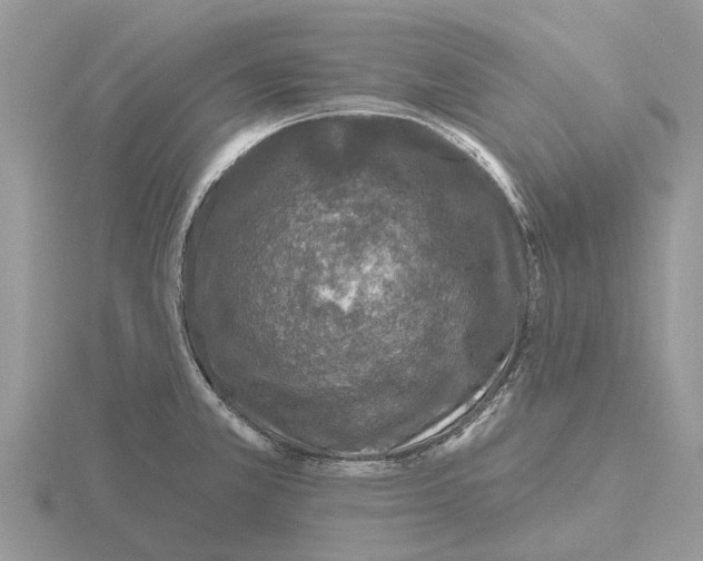 X0000115671381200912101103