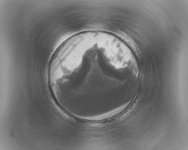 X0000115671382200912101103